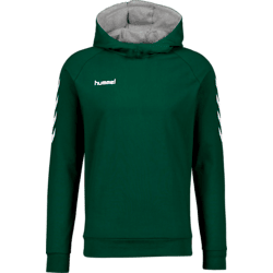 Champion hoodie stadium outlet outlet